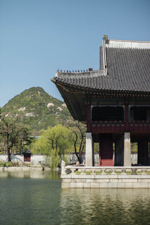 South Korea 2023 Seoul & Busan Trip locations starting in Seoul. Dongdaemun, Myeongdong night market, Starfield COEX mall, Byeolmadang library, the Olympic park, Namsan Seoul tower (N-Tower), Tteokkbokki village, Sungnyemun Gate, Gyeongbokgung Palace, Bukchon Hanok Village, Seoul Forest, Hywayang Jeil Traditional Market, Jongmyo Shrine, Jeongneung Royal Tomb, IFX Mall, some small park by the Han River (Yeouido), Bukseoul Dream Forest, Insadong Market, DDP Dongdaemun History and Art centre, Rainbow Bridge and the National Museum. Then in Busan. Haedong Yonggungsa Buddist Temple, Haeundae Beach trains, Sky Capsules, Camcheon Culture Village, Songdo Park cable cars.