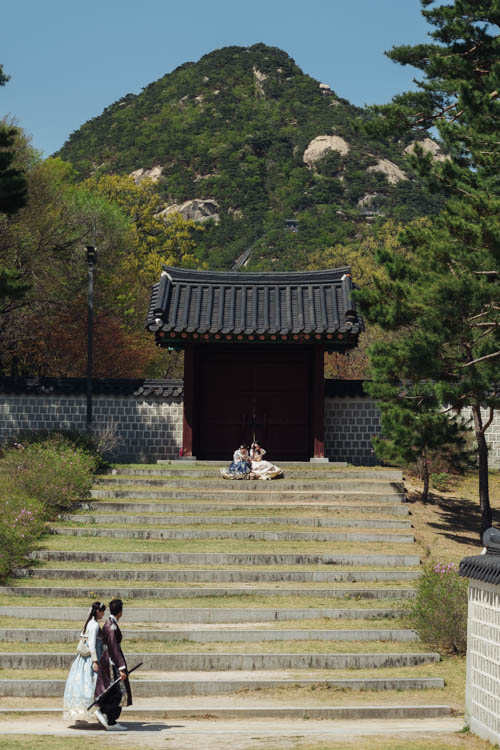 South Korea 2023 Seoul & Busan Trip locations starting in Seoul. Dongdaemun, Myeongdong night market, Starfield COEX mall, Byeolmadang library, the Olympic park, Namsan Seoul tower (N-Tower), Tteokkbokki village, Sungnyemun Gate, Gyeongbokgung Palace, Bukchon Hanok Village, Seoul Forest, Hywayang Jeil Traditional Market, Jongmyo Shrine, Jeongneung Royal Tomb, IFX Mall, some small park by the Han River (Yeouido), Bukseoul Dream Forest, Insadong Market, DDP Dongdaemun History and Art centre, Rainbow Bridge and the National Museum. Then in Busan. Haedong Yonggungsa Buddist Temple, Haeundae Beach trains, Sky Capsules, Camcheon Culture Village, Songdo Park cable cars.