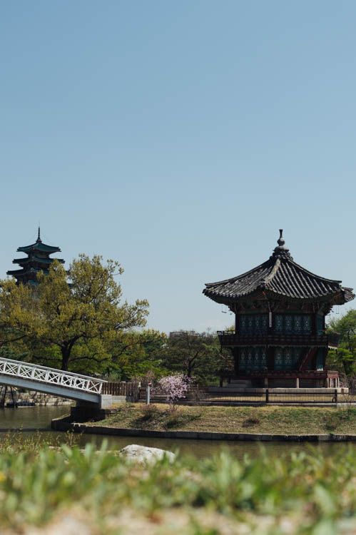 South Korea 2023 Seoul & Busan Trip locations starting in Seoul. Dongdaemun, Myeongdong night market, Starfield COEX mall, Byeolmadang library, the Olympic park, Namsan Seoul tower (N-Tower), Tteokkbokki village, Sungnyemun Gate, Gyeongbokgung Palace, Bukchon Hanok Village, Seoul Forest, Hywayang Jeil Traditional Market, Jongmyo Shrine, Jeongneung Royal Tomb, IFX Mall, some small park by the Han River (Yeouido), Bukseoul Dream Forest, Insadong Market, DDP Dongdaemun History and Art centre, Rainbow Bridge and the National Museum. Then in Busan. Haedong Yonggungsa Buddist Temple, Haeundae Beach trains, Sky Capsules, Camcheon Culture Village, Songdo Park cable cars.