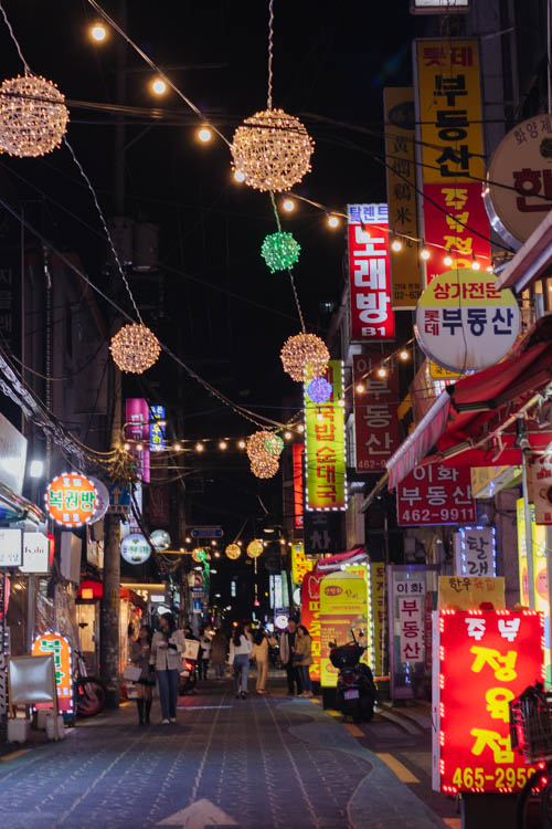 South Korea 2023 Seoul & Busan Trip locations starting in Seoul. Dongdaemun, Myeongdong night market, Starfield COEX mall, Byeolmadang library, the Olympic park, Namsan Seoul tower (N-Tower), Tteokkbokki village, Sungnyemun Gate, Gyeongbokgung Palace, Bukchon Hanok Village, Seoul Forest, Hywayang Jeil Traditional Market, Jongmyo Shrine, Jeongneung Royal Tomb, IFX Mall, some small park by the Han River (Yeouido), Bukseoul Dream Forest, Insadong Market, DDP Dongdaemun History and Art centre, Rainbow Bridge and the National Museum. Then in Busan. Haedong Yonggungsa Buddist Temple, Haeundae Beach trains, Sky Capsules, Camcheon Culture Village, Songdo Park cable cars.