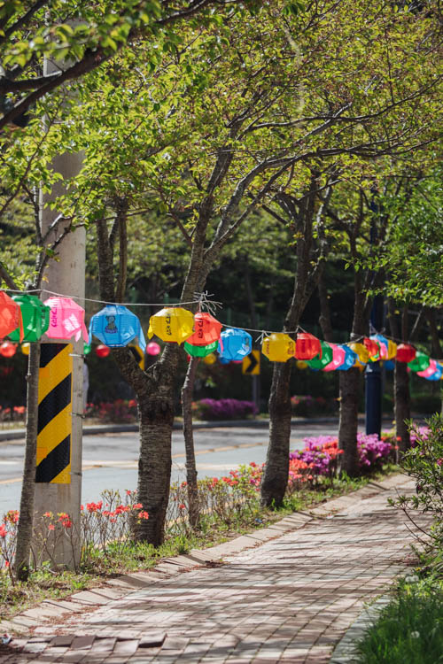 South Korea 2023 Seoul & Busan Trip locations starting in Seoul. Dongdaemun, Myeongdong night market, Starfield COEX mall, Byeolmadang library, the Olympic park, Namsan Seoul tower (N-Tower), Tteokkbokki village, Sungnyemun Gate, Gyeongbokgung Palace, Bukchon Hanok Village, Seoul Forest, Hywayang Jeil Traditional Market, Jongmyo Shrine, Jeongneung Royal Tomb, IFX Mall, some small park by the Han River (Yeouido), Bukseoul Dream Forest, Insadong Market, DDP Dongdaemun History and Art centre, Rainbow Bridge and the National Museum. Then in Busan. Haedong Yonggungsa Buddist Temple, Haeundae Beach trains, Sky Capsules, Camcheon Culture Village, Songdo Park cable cars.