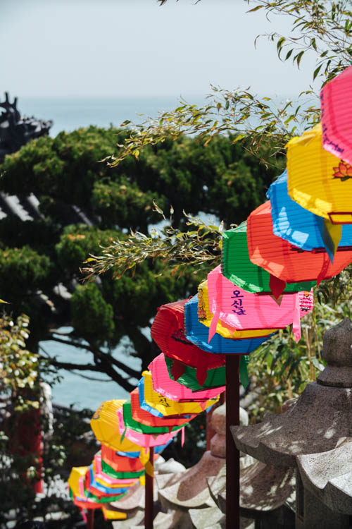 South Korea 2023 Seoul & Busan Trip locations starting in Seoul. Dongdaemun, Myeongdong night market, Starfield COEX mall, Byeolmadang library, the Olympic park, Namsan Seoul tower (N-Tower), Tteokkbokki village, Sungnyemun Gate, Gyeongbokgung Palace, Bukchon Hanok Village, Seoul Forest, Hywayang Jeil Traditional Market, Jongmyo Shrine, Jeongneung Royal Tomb, IFX Mall, some small park by the Han River (Yeouido), Bukseoul Dream Forest, Insadong Market, DDP Dongdaemun History and Art centre, Rainbow Bridge and the National Museum. Then in Busan. Haedong Yonggungsa Buddist Temple, Haeundae Beach trains, Sky Capsules, Camcheon Culture Village, Songdo Park cable cars.