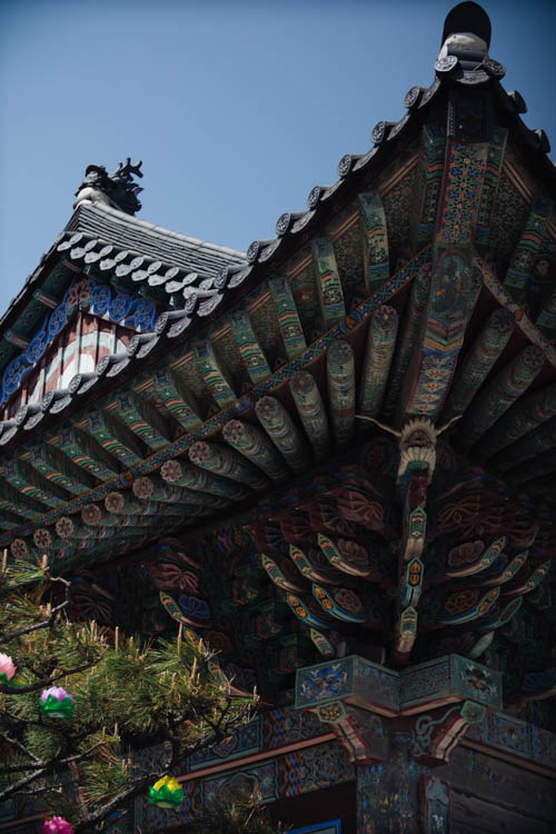 South Korea 2023 Seoul & Busan Trip locations starting in Seoul. Dongdaemun, Myeongdong night market, Starfield COEX mall, Byeolmadang library, the Olympic park, Namsan Seoul tower (N-Tower), Tteokkbokki village, Sungnyemun Gate, Gyeongbokgung Palace, Bukchon Hanok Village, Seoul Forest, Hywayang Jeil Traditional Market, Jongmyo Shrine, Jeongneung Royal Tomb, IFX Mall, some small park by the Han River (Yeouido), Bukseoul Dream Forest, Insadong Market, DDP Dongdaemun History and Art centre, Rainbow Bridge and the National Museum. Then in Busan. Haedong Yonggungsa Buddist Temple, Haeundae Beach trains, Sky Capsules, Camcheon Culture Village, Songdo Park cable cars.