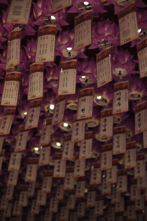 South Korea 2023 Seoul & Busan Trip locations starting in Seoul. Dongdaemun, Myeongdong night market, Starfield COEX mall, Byeolmadang library, the Olympic park, Namsan Seoul tower (N-Tower), Tteokkbokki village, Sungnyemun Gate, Gyeongbokgung Palace, Bukchon Hanok Village, Seoul Forest, Hywayang Jeil Traditional Market, Jongmyo Shrine, Jeongneung Royal Tomb, IFX Mall, some small park by the Han River (Yeouido), Bukseoul Dream Forest, Insadong Market, DDP Dongdaemun History and Art centre, Rainbow Bridge and the National Museum. Then in Busan. Haedong Yonggungsa Buddist Temple, Haeundae Beach trains, Sky Capsules, Camcheon Culture Village, Songdo Park cable cars.