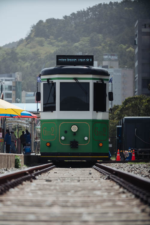 South Korea 2023 Seoul & Busan Trip locations starting in Seoul. Dongdaemun, Myeongdong night market, Starfield COEX mall, Byeolmadang library, the Olympic park, Namsan Seoul tower (N-Tower), Tteokkbokki village, Sungnyemun Gate, Gyeongbokgung Palace, Bukchon Hanok Village, Seoul Forest, Hywayang Jeil Traditional Market, Jongmyo Shrine, Jeongneung Royal Tomb, IFX Mall, some small park by the Han River (Yeouido), Bukseoul Dream Forest, Insadong Market, DDP Dongdaemun History and Art centre, Rainbow Bridge and the National Museum. Then in Busan. Haedong Yonggungsa Buddist Temple, Haeundae Beach trains, Sky Capsules, Camcheon Culture Village, Songdo Park cable cars.