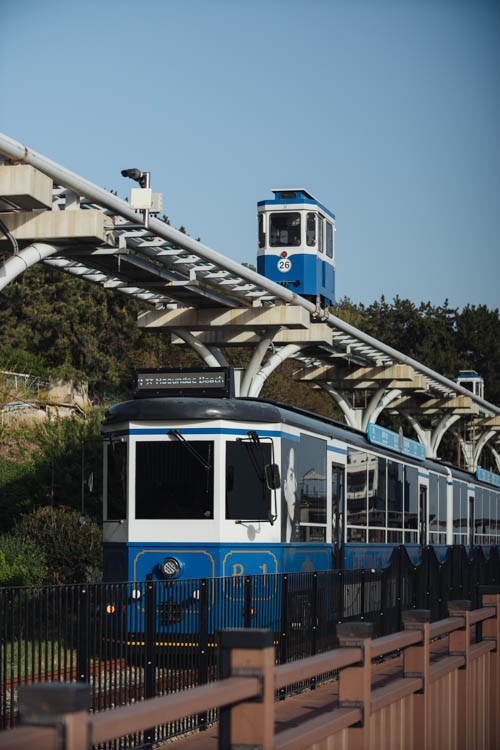 South Korea 2023 Seoul & Busan Trip locations starting in Seoul. Dongdaemun, Myeongdong night market, Starfield COEX mall, Byeolmadang library, the Olympic park, Namsan Seoul tower (N-Tower), Tteokkbokki village, Sungnyemun Gate, Gyeongbokgung Palace, Bukchon Hanok Village, Seoul Forest, Hywayang Jeil Traditional Market, Jongmyo Shrine, Jeongneung Royal Tomb, IFX Mall, some small park by the Han River (Yeouido), Bukseoul Dream Forest, Insadong Market, DDP Dongdaemun History and Art centre, Rainbow Bridge and the National Museum. Then in Busan. Haedong Yonggungsa Buddist Temple, Haeundae Beach trains, Sky Capsules, Camcheon Culture Village, Songdo Park cable cars.