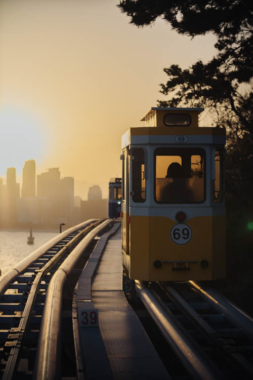 South Korea 2023 Seoul & Busan Trip locations starting in Seoul. Dongdaemun, Myeongdong night market, Starfield COEX mall, Byeolmadang library, the Olympic park, Namsan Seoul tower (N-Tower), Tteokkbokki village, Sungnyemun Gate, Gyeongbokgung Palace, Bukchon Hanok Village, Seoul Forest, Hywayang Jeil Traditional Market, Jongmyo Shrine, Jeongneung Royal Tomb, IFX Mall, some small park by the Han River (Yeouido), Bukseoul Dream Forest, Insadong Market, DDP Dongdaemun History and Art centre, Rainbow Bridge and the National Museum. Then in Busan. Haedong Yonggungsa Buddist Temple, Haeundae Beach trains, Sky Capsules, Camcheon Culture Village, Songdo Park cable cars.