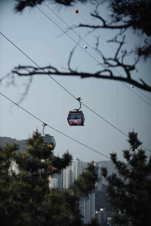 South Korea 2023 Seoul & Busan Trip locations starting in Seoul. Dongdaemun, Myeongdong night market, Starfield COEX mall, Byeolmadang library, the Olympic park, Namsan Seoul tower (N-Tower), Tteokkbokki village, Sungnyemun Gate, Gyeongbokgung Palace, Bukchon Hanok Village, Seoul Forest, Hywayang Jeil Traditional Market, Jongmyo Shrine, Jeongneung Royal Tomb, IFX Mall, some small park by the Han River (Yeouido), Bukseoul Dream Forest, Insadong Market, DDP Dongdaemun History and Art centre, Rainbow Bridge and the National Museum. Then in Busan. Haedong Yonggungsa Buddist Temple, Haeundae Beach trains, Sky Capsules, Camcheon Culture Village, Songdo Park cable cars.