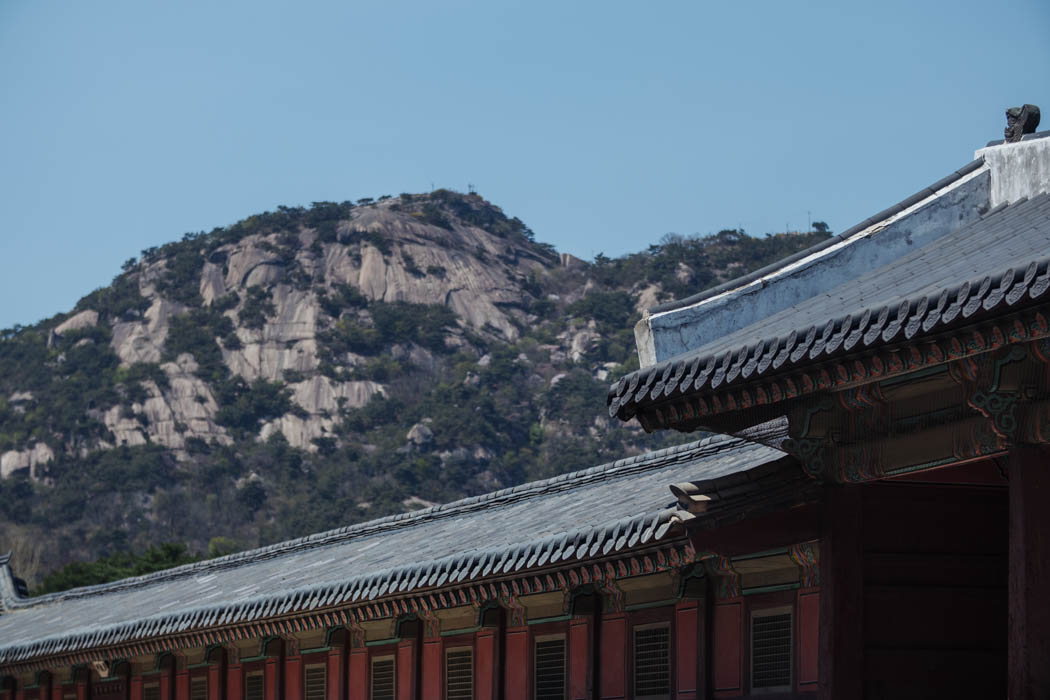 South Korea 2023 Seoul & Busan Trip locations starting in Seoul. Dongdaemun, Myeongdong night market, Starfield COEX mall, Byeolmadang library, the Olympic park, Namsan Seoul tower (N-Tower), Tteokkbokki village, Sungnyemun Gate, Gyeongbokgung Palace, Bukchon Hanok Village, Seoul Forest, Hywayang Jeil Traditional Market, Jongmyo Shrine, Jeongneung Royal Tomb, IFX Mall, some small park by the Han River (Yeouido), Bukseoul Dream Forest, Insadong Market, DDP Dongdaemun History and Art centre, Rainbow Bridge and the National Museum. Then in Busan. Haedong Yonggungsa Buddist Temple, Haeundae Beach trains, Sky Capsules, Camcheon Culture Village, Songdo Park cable cars.